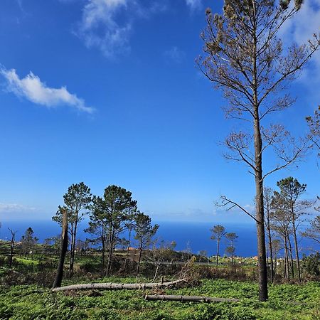 Maravilha Da Costa Villa Ponta do Pargo Dış mekan fotoğraf